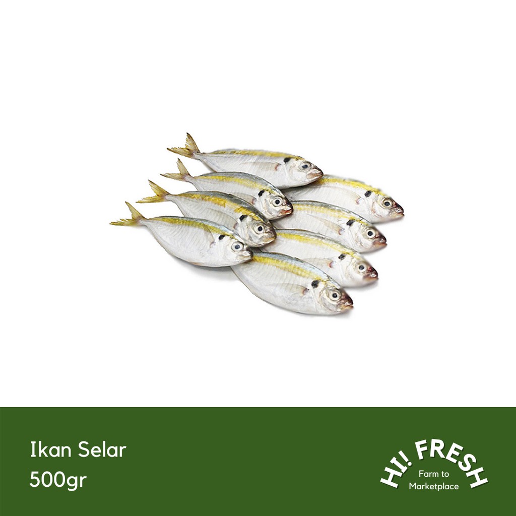 

Ikan Selar 500gr