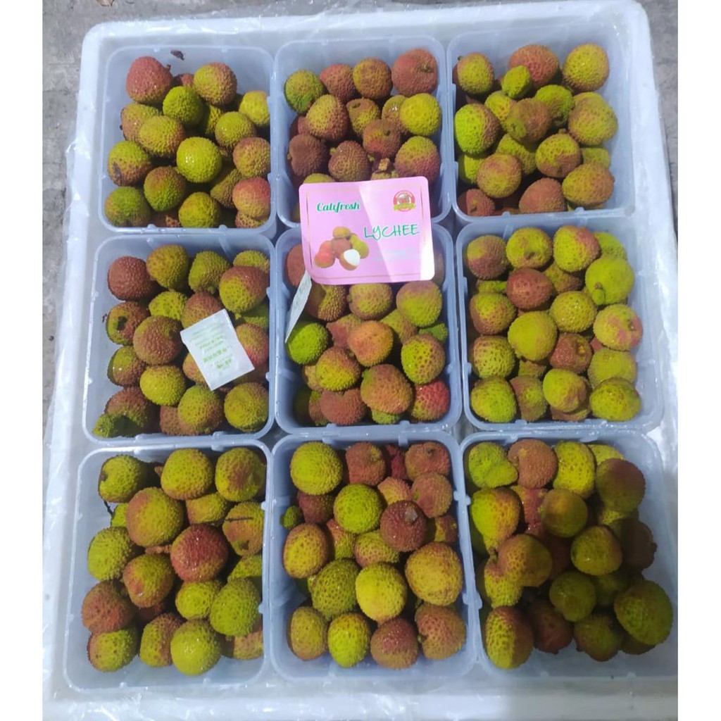 

Leci / Lycee Califresh (Isi : 9 Pack) Fresh Import