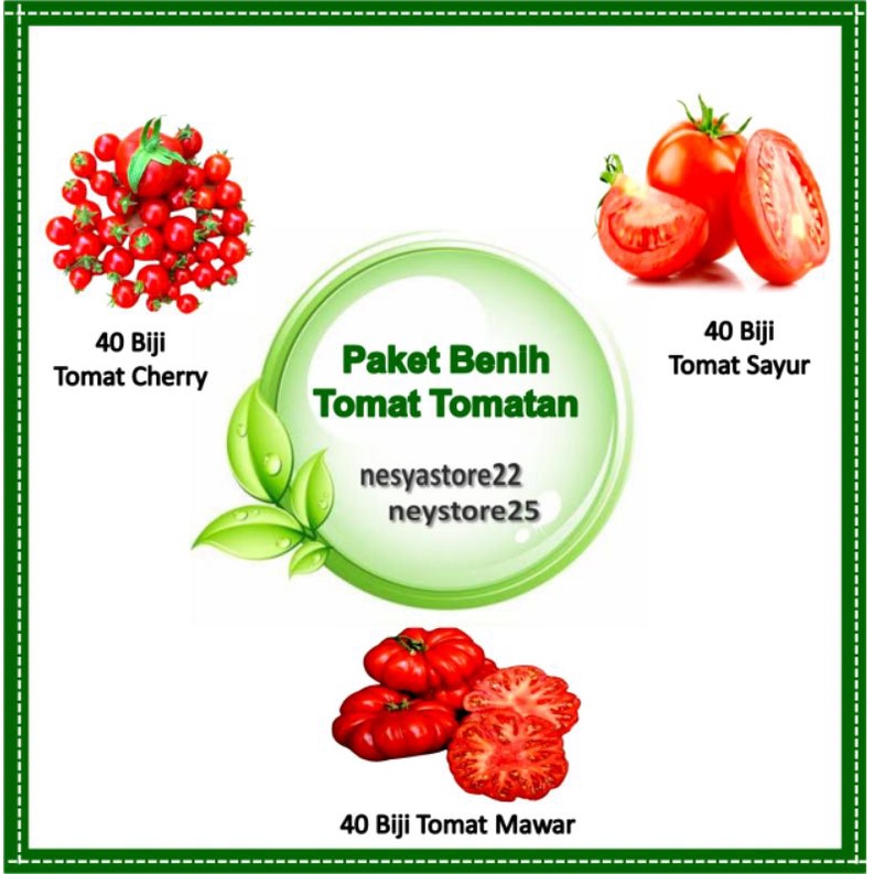 Paket Benih Tomat-Tomatan Benih Tomat sayur keriting cery