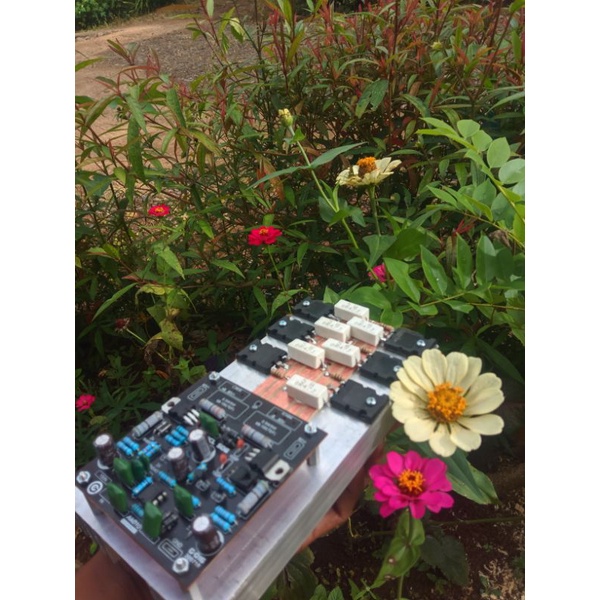 socl 506 final 3 set thosiba