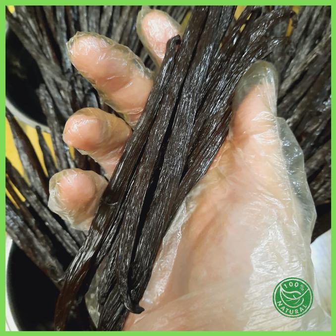 

Vanilla Bean / Vanila Batang /Vanili Kering Grade A Gourmet Planifolia TERLARIS TERPERCAYA ORIGINAL