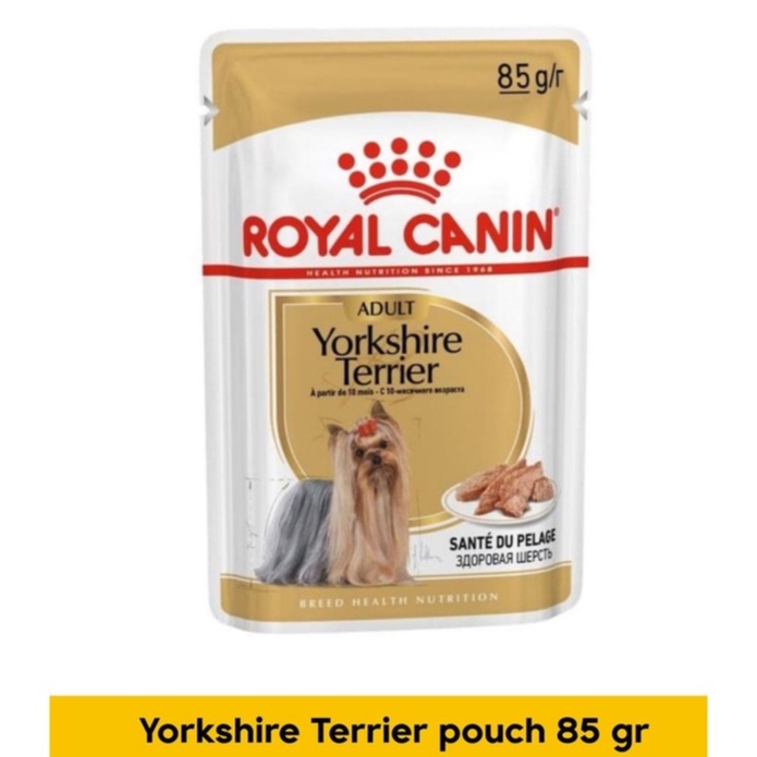 royal canin yorkshire pouch Wet Food Anjing