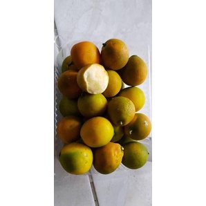 

[PRODUK ASTYS] Jeruk kimkit madu 400 gram GWN