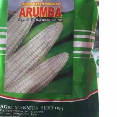 ● Benih / bibit jagung putih pulut manis ARUMBA jagung arumba 250 gr dari benih pertiwi ▲