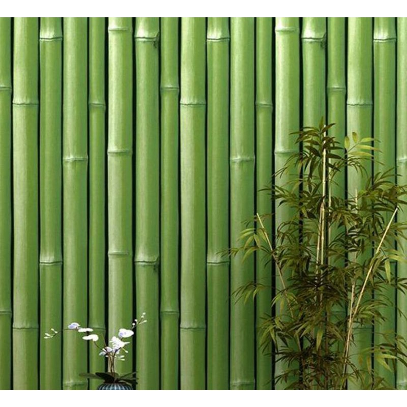 Wallpaper Sticker Dinding Motif Bambu Batang Warna Hijau