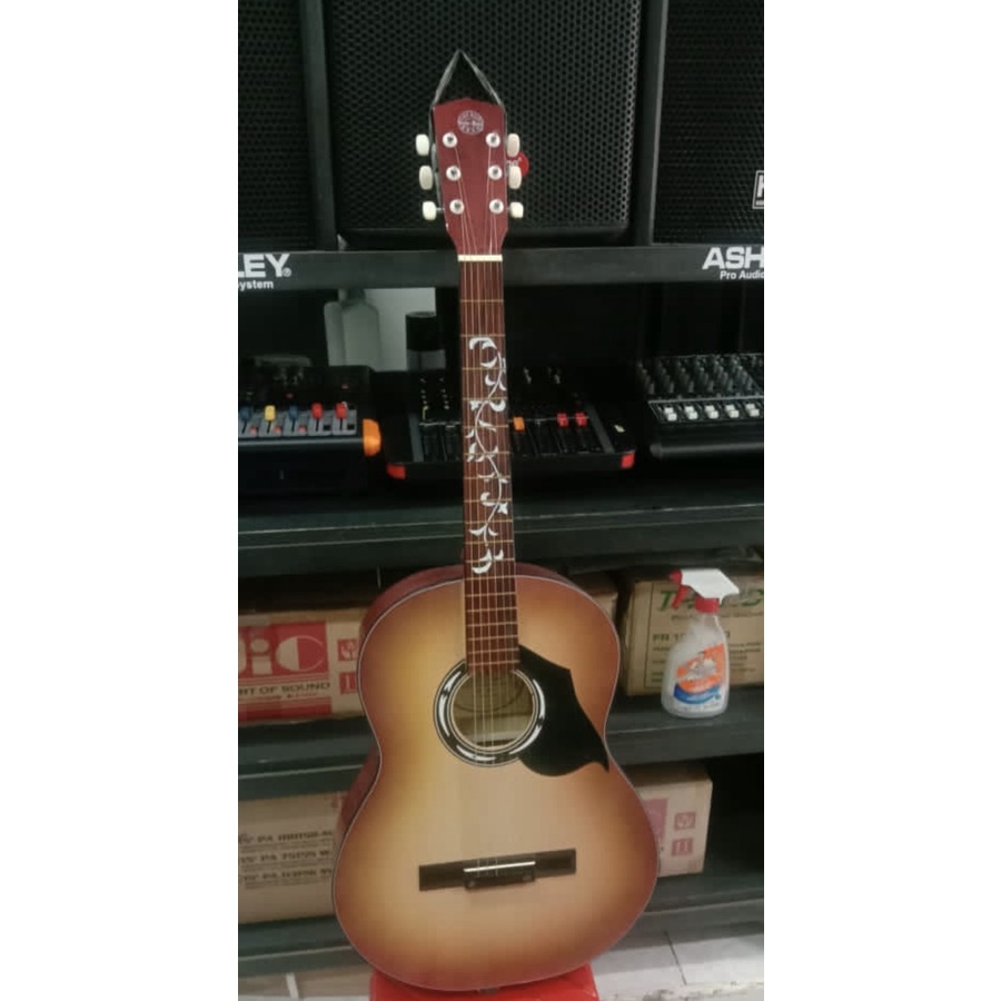 GITAR SAYUR - GITAR SAYUR SHEN SHEN AKUSTIK SENAR FREE TAS