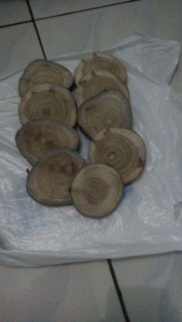 Wood slice potongan kayu jati  diameter 8 cm teak wood 
