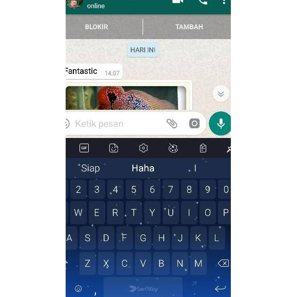 ♩ Pelet ikan louhan 99 nine point nine originally ™