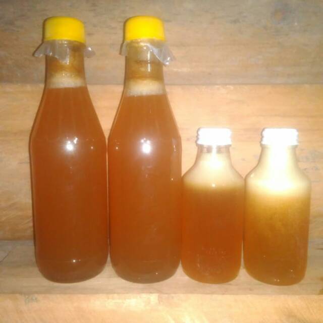 

Madu kelulut
