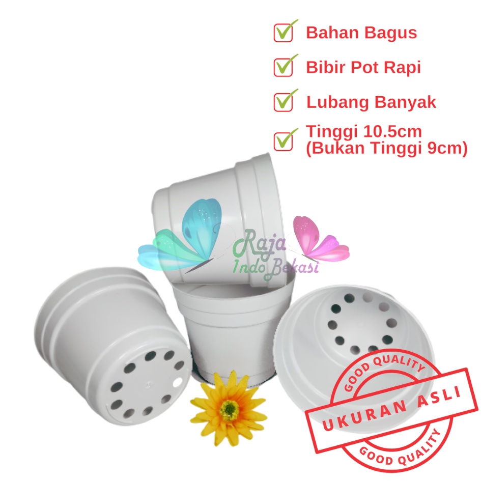 Pot 12 Putih Polos - Pot 12 Cm Putih Kecil Mini Minimalis Plastik Kaktus Sukulen Mini Murah Pot Bibit Pembibitan