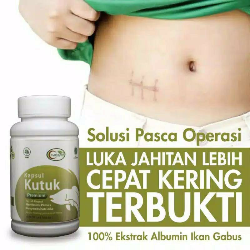

KAPSUL KUTUK PREMIUM ASLI - KAPSUL KUTUK PREMIUM ORIGINAL - ALBUMIN PIL KUTUK PIL IKAN GABUS BPOM