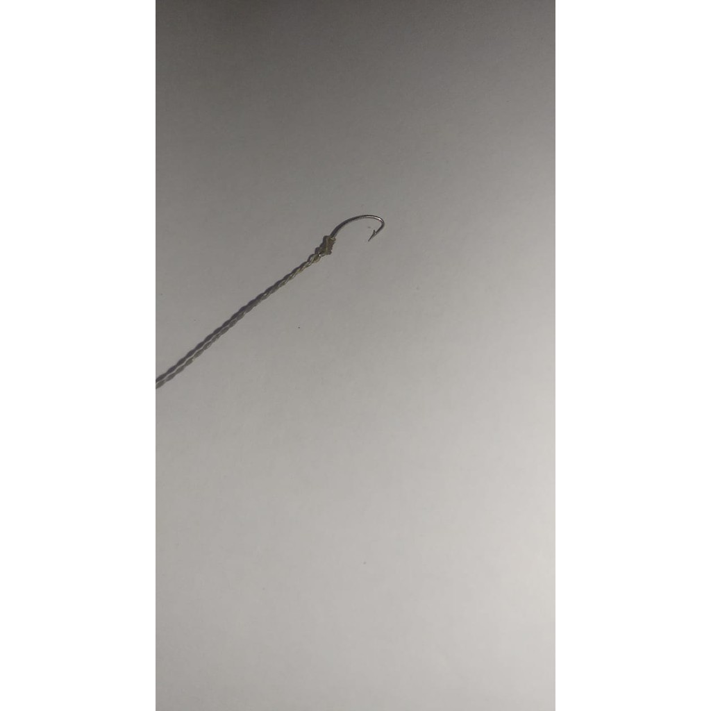 Kail Pancing Urek Belut sawah  Panjang 150-250cm