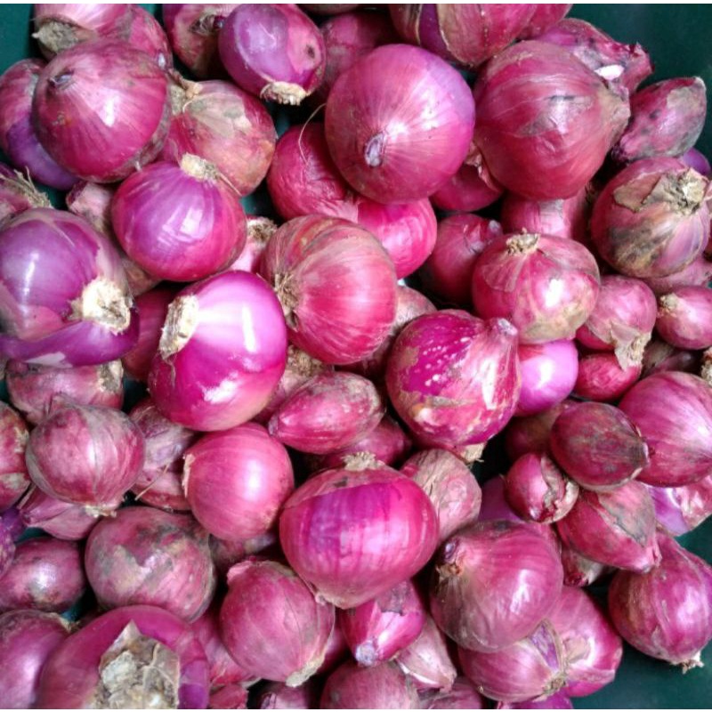 

Bawang Merah Batu 250gr