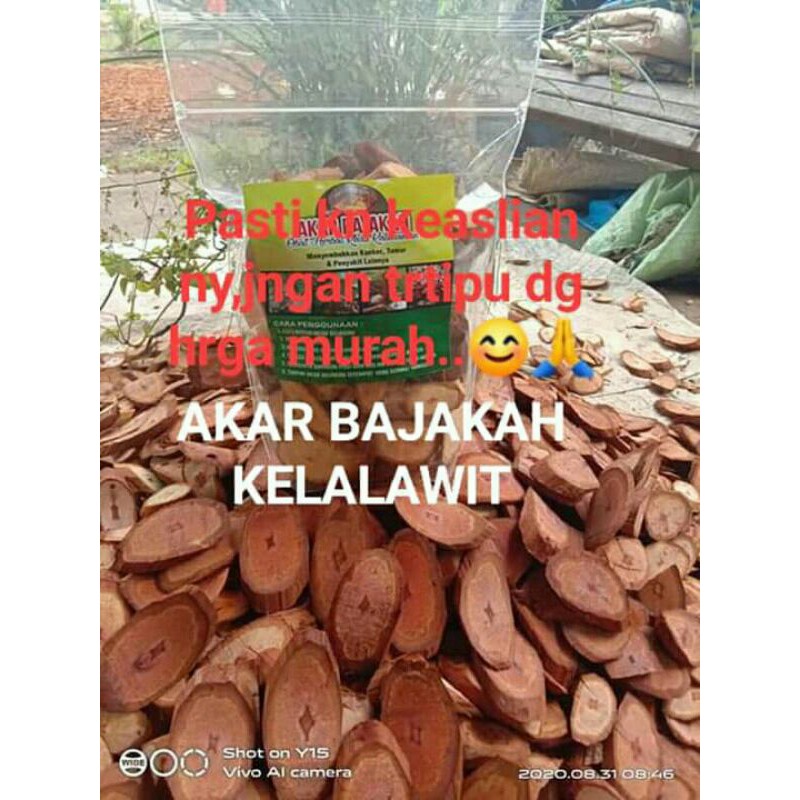 

Berat 250 Gram Akar bajakah kalalawit kalimantan asli