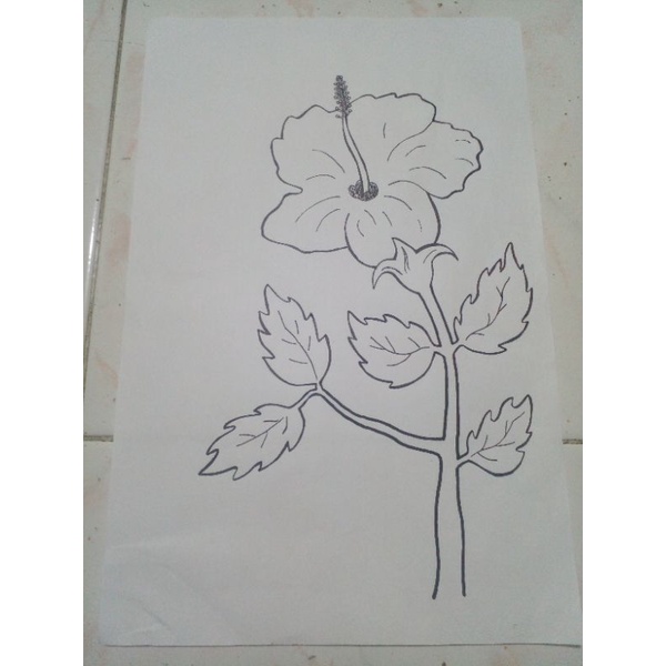 

sketsa gambar/mewarnai/drawing kertas HVS A4 tema tanaman