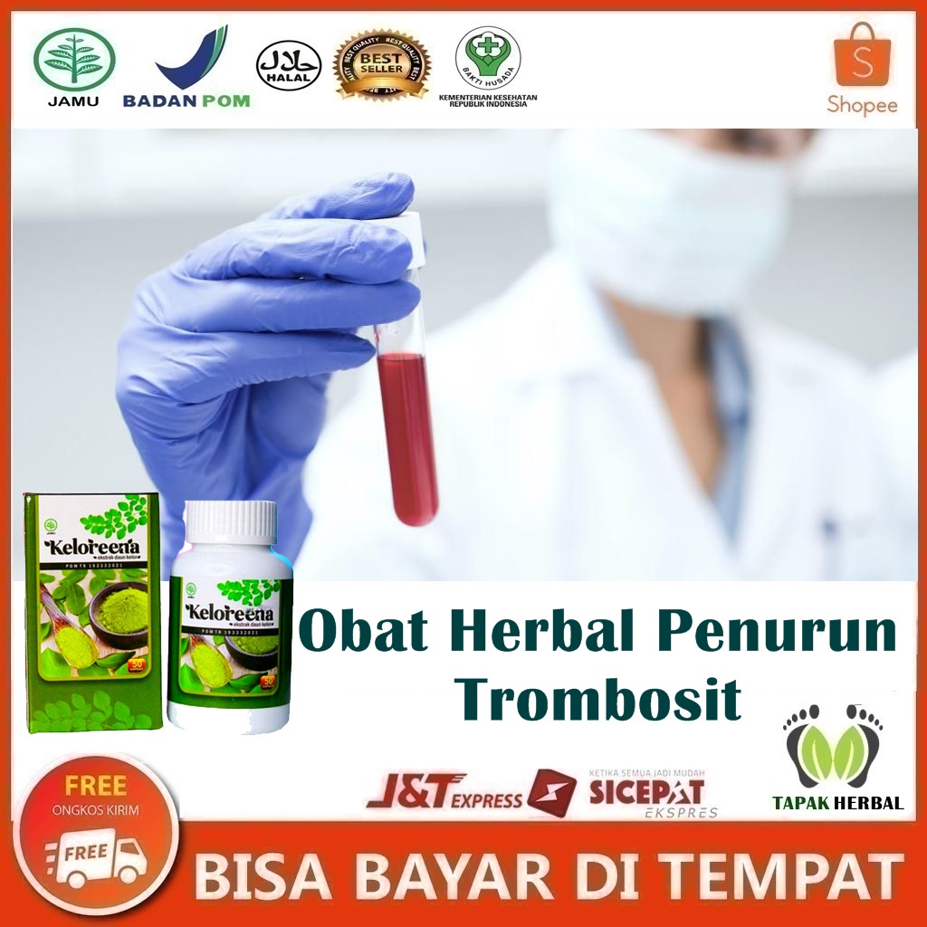 Obat Herbal Penurun Trombosit, Jumlah Kadar Trombosit Tinggi, Obat Pengencer Darah Kental, Trombosit