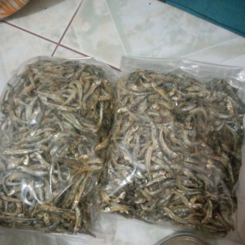 

Bilis Mbak Shella