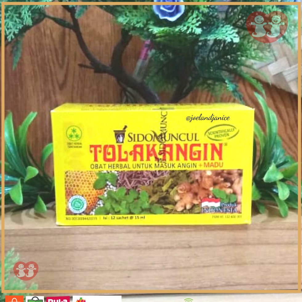 Tolak Angin Cair DEWASA Sachet 1box isi 12