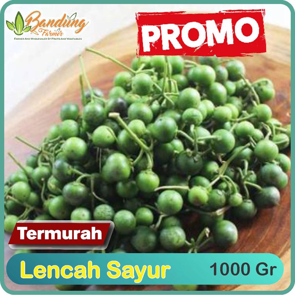 

jual Lenca 1kg harga petani langsung fresh dr kebun langsung