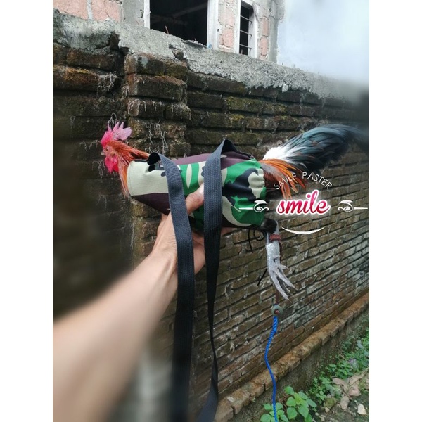 tas tapau ayam hutan ori