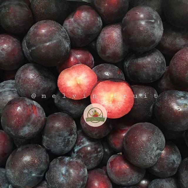 

Buah Black Plum china fresh
