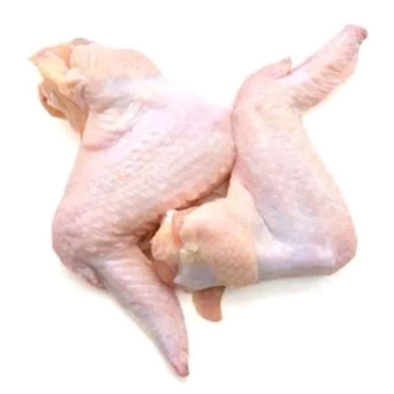 

sayap ayam/chiken wing fresh 500 gram