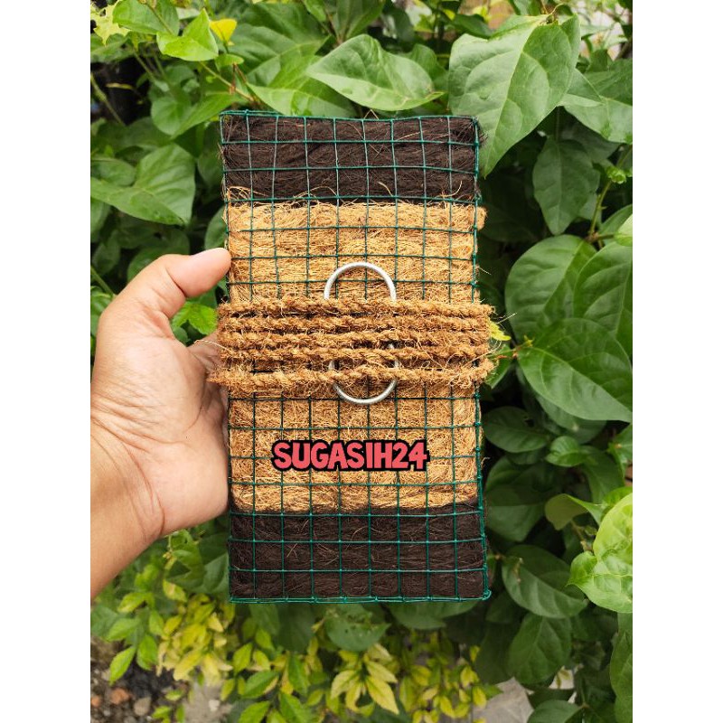 

PAPAN MEDIA ANGGREK SERABUT KELAPA