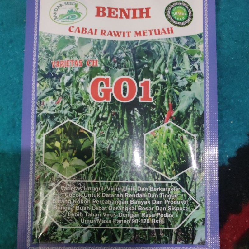 cabai rawit unggul CH+GO1