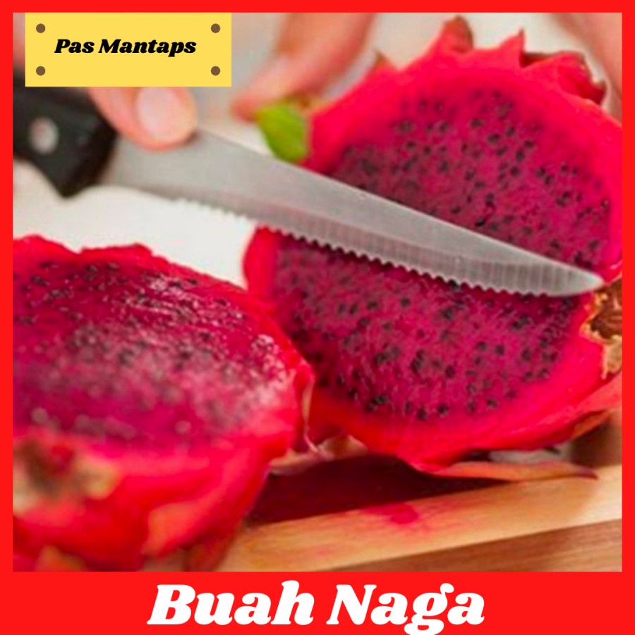 

Buah Naga 1 kg Pasar Buah Segar Bekasi