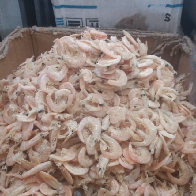 

Udang Kering Medan 250gr
