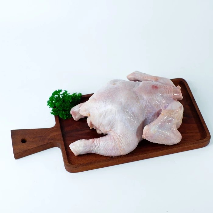 

Ayam Broiler