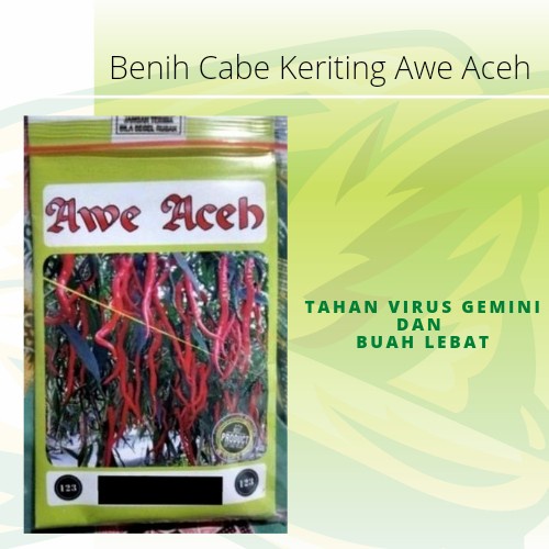 Benih Cabe Keriting Awe Aceh Kemasan 10gr Original Pabrik
