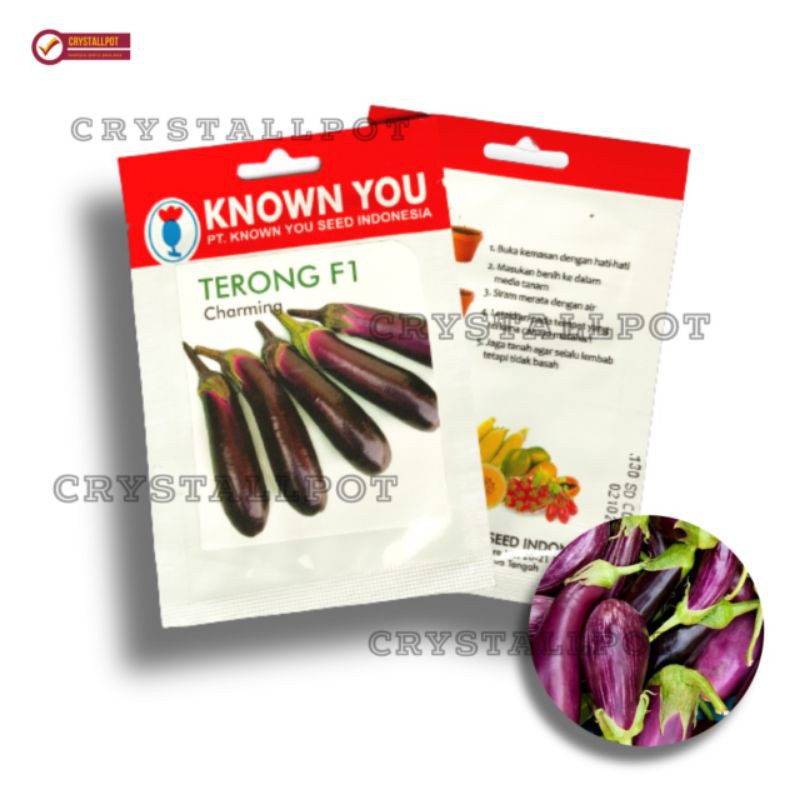 Benih Bibit Terong Ungu Panjang F1 Charming Known You Seed - KYS TERONG UNGU PANJANG F1 CHARMING