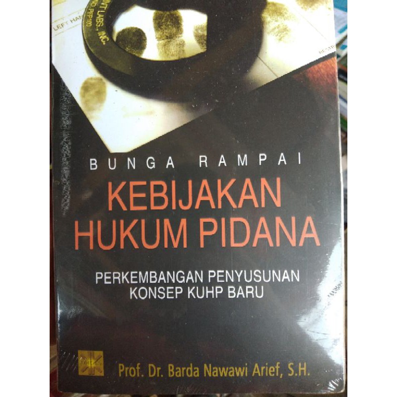 kebijakan hukum pidana