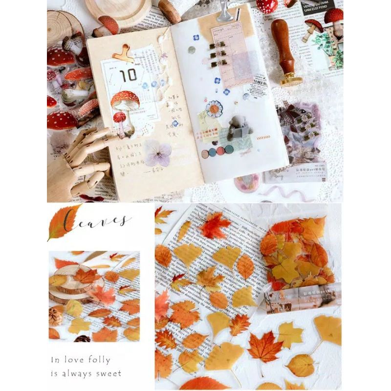 Sticker Transparan Motif Daun Stiker Lucu Cute Sticker Scrapbook Photobook Diary Kpop Idol Korea