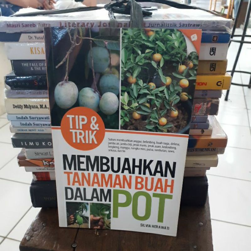 Membuahkan tanaman buah dalam pot Silvia Herawati