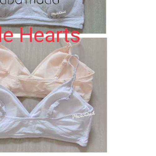 ☑ HARGA SALE MINI BRA REMAJA LY 458 ✹