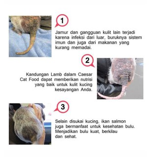 Pakan Kucing Makanan Kucing Makanan Kucing Cat Food Caesar