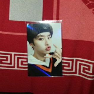 Photocard Stray Kids Benefit Withdrama Limited Lee Know WD Lim