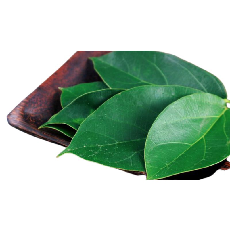 

Daun cincau segar 1kg hijau perdu fresh & organic