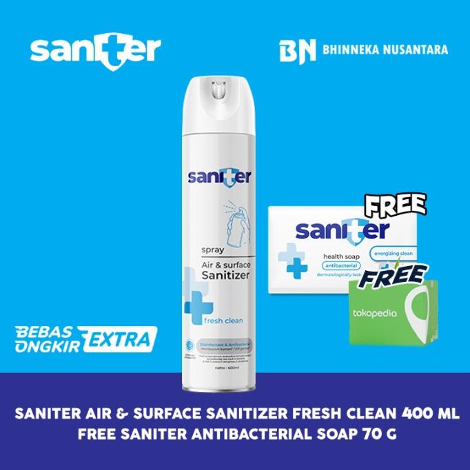 Saniter Air Sanitizer Spray 400 ml
