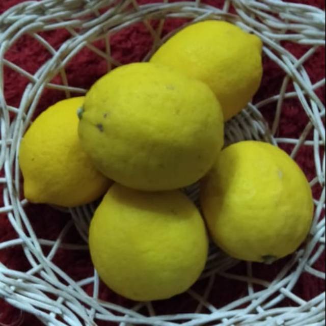 

Jeruk Lemon California