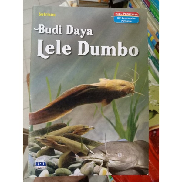 Budi Daya Lele Dumbo.