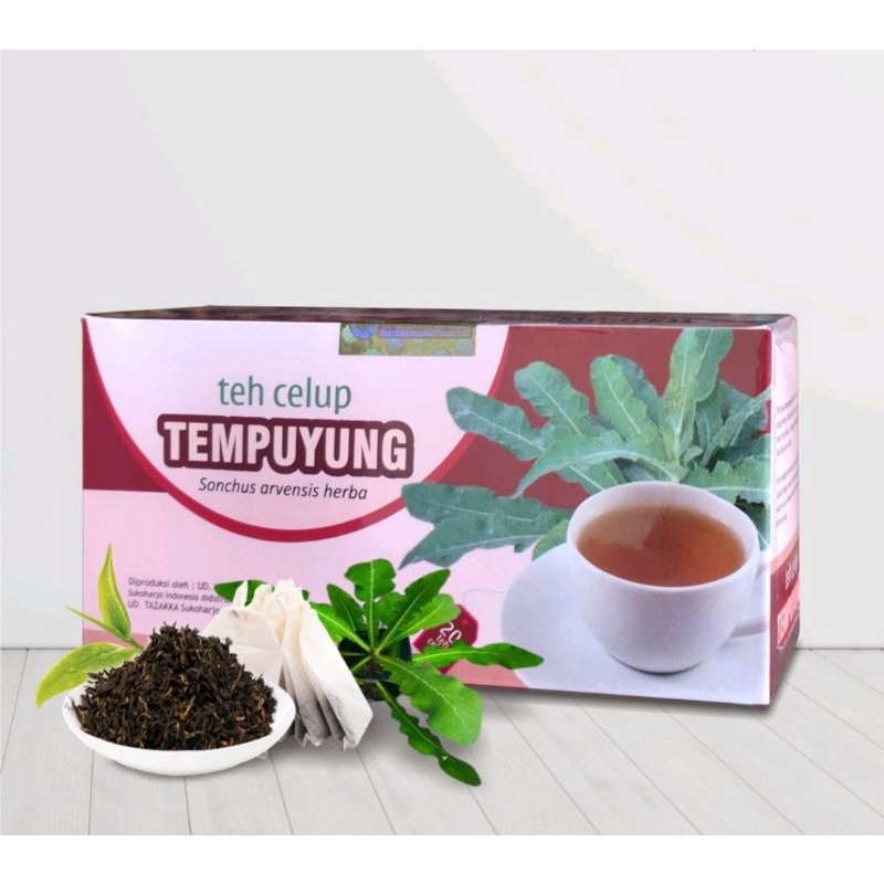 

OBAT HERBAL TEH TEMPUYUNG ASLI TAZAKKA AMPUH MENGIBATI BATU GINJAL OBAT GEMPUR BATU GINJAL OBAT MELANCARKAN BUANG AIR KECIL OBAT MELURUHKAN BATU URIN DI SALURAN KEMIH OBAT ASAM URAT 1 KOTAK ISI 20 TEH CELUP ALAMI BERKUALITAS