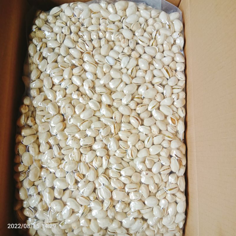 kacang pistachio fustuk kacang ketawa panggang  1 kg