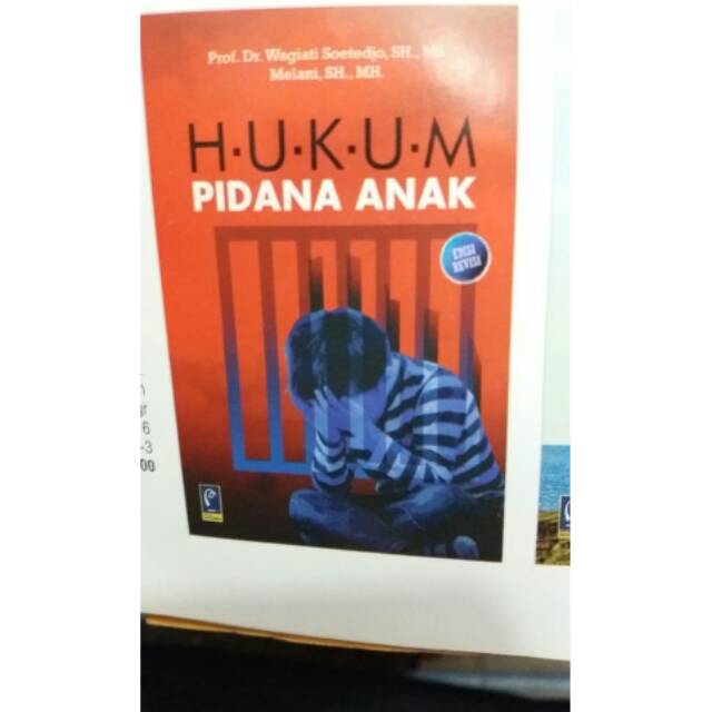 Buku Hukum Pidana Anak