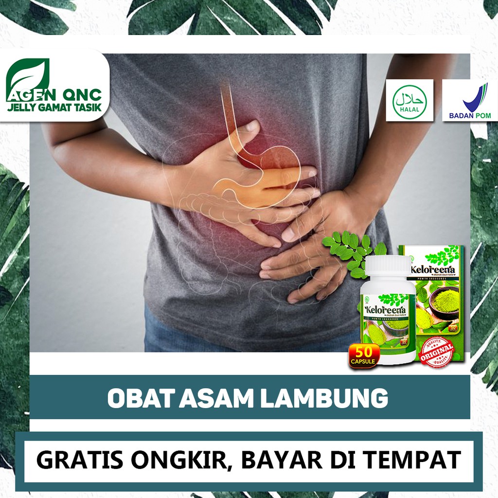 

Obat Herbal Asam Lambung, Obat Maag, Kronis, Asam Urat Kolesterol KELOREENA Ekstrak Daun Kelor