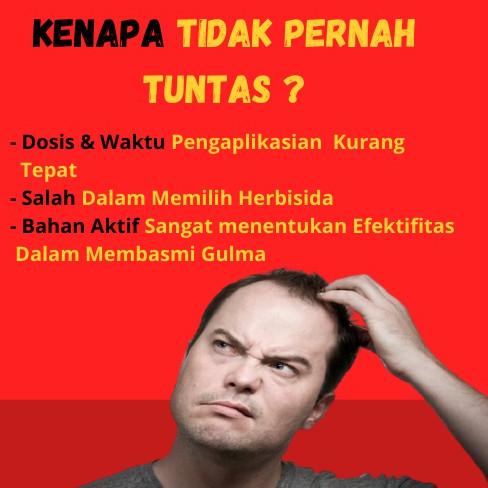 [KODE F7874] Herbisida Racun Obat Pembasmi Pembeku Biji Rumput Gulma Liar di Sawah - SPENOC 500 ml