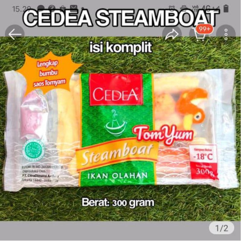 

CEDEA steamboat