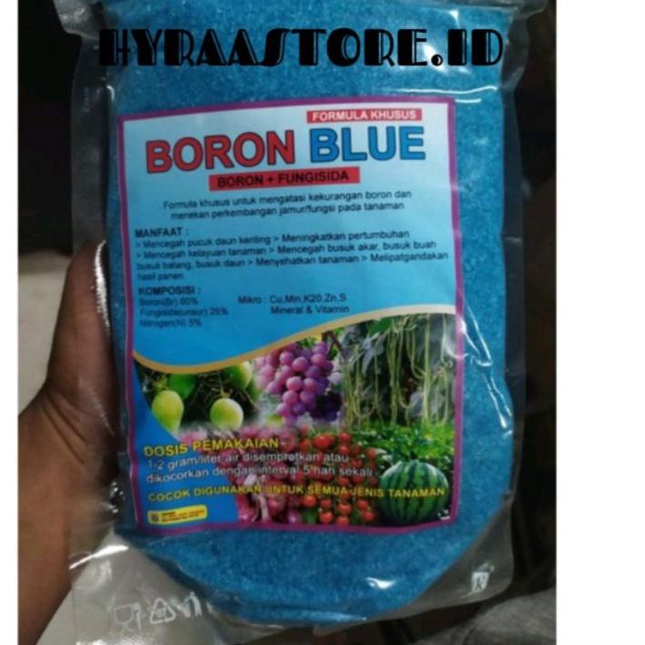 ✅Ada bonus Jika Beruntung PUPUK BORON BLUE MURNI 100% | NEW | REBORN | Rilis | New event